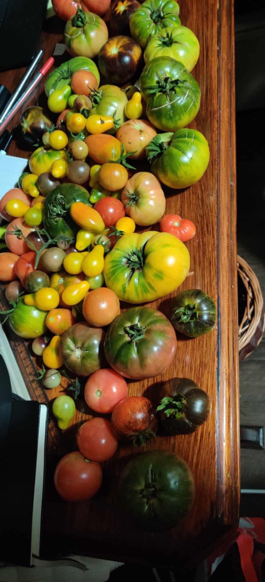 Different types of tomatoes