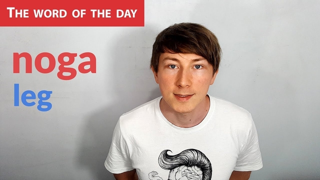 Learn Polish Language: The word of the day - noga